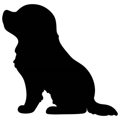 Granule pro štěňata, granule puppy, junior