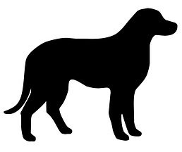 Granule pro psa seniora, senior dog