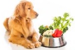 vitamíny a léčiva pro psa